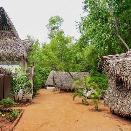 Nebula Nest Cafe & Hostel أورفيلا المظهر الخارجي الصورة