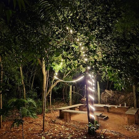 Nebula Nest Cafe & Hostel أورفيلا المظهر الخارجي الصورة