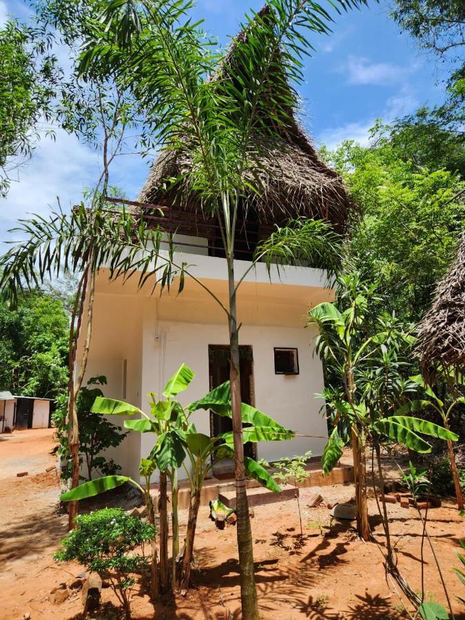 Nebula Nest Cafe & Hostel أورفيلا المظهر الخارجي الصورة