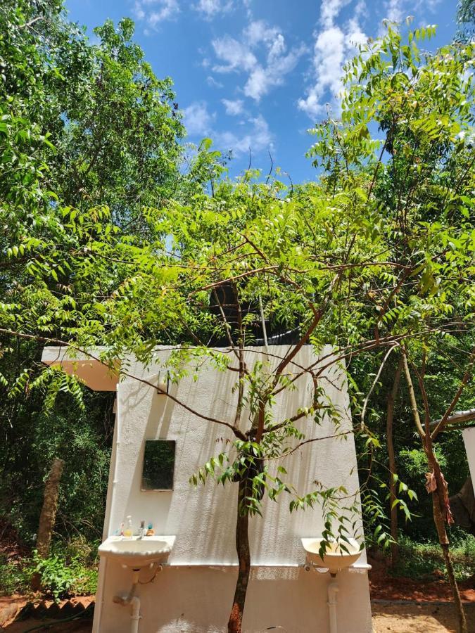 Nebula Nest Cafe & Hostel أورفيلا المظهر الخارجي الصورة