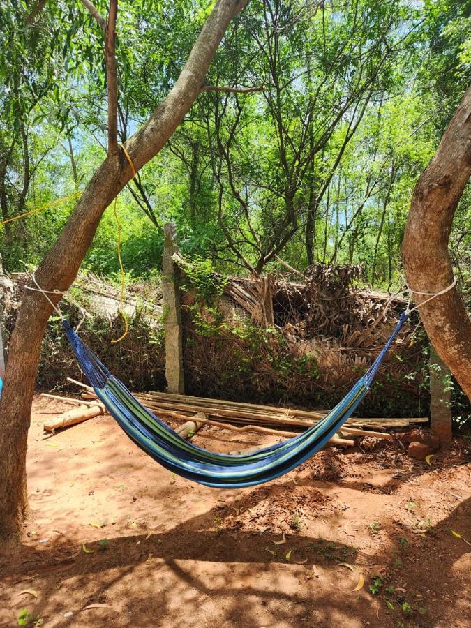 Nebula Nest Cafe & Hostel أورفيلا المظهر الخارجي الصورة