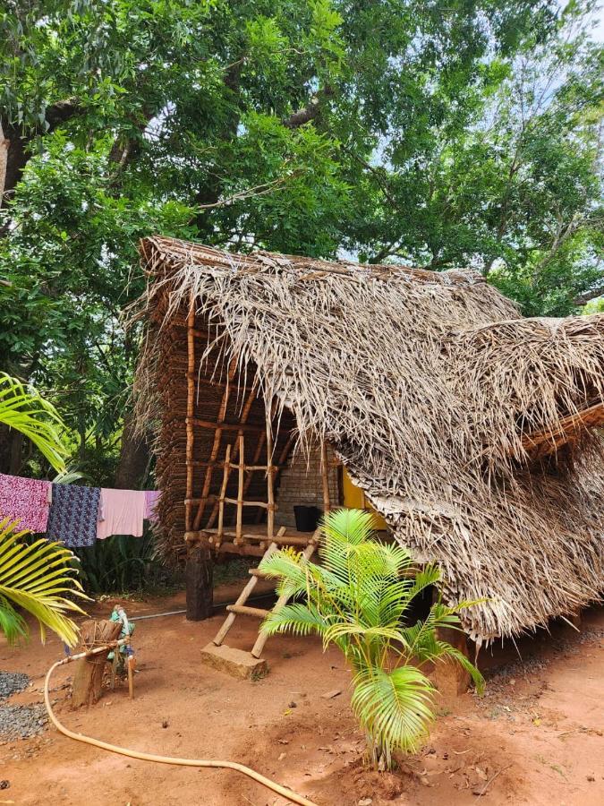 Nebula Nest Cafe & Hostel أورفيلا المظهر الخارجي الصورة