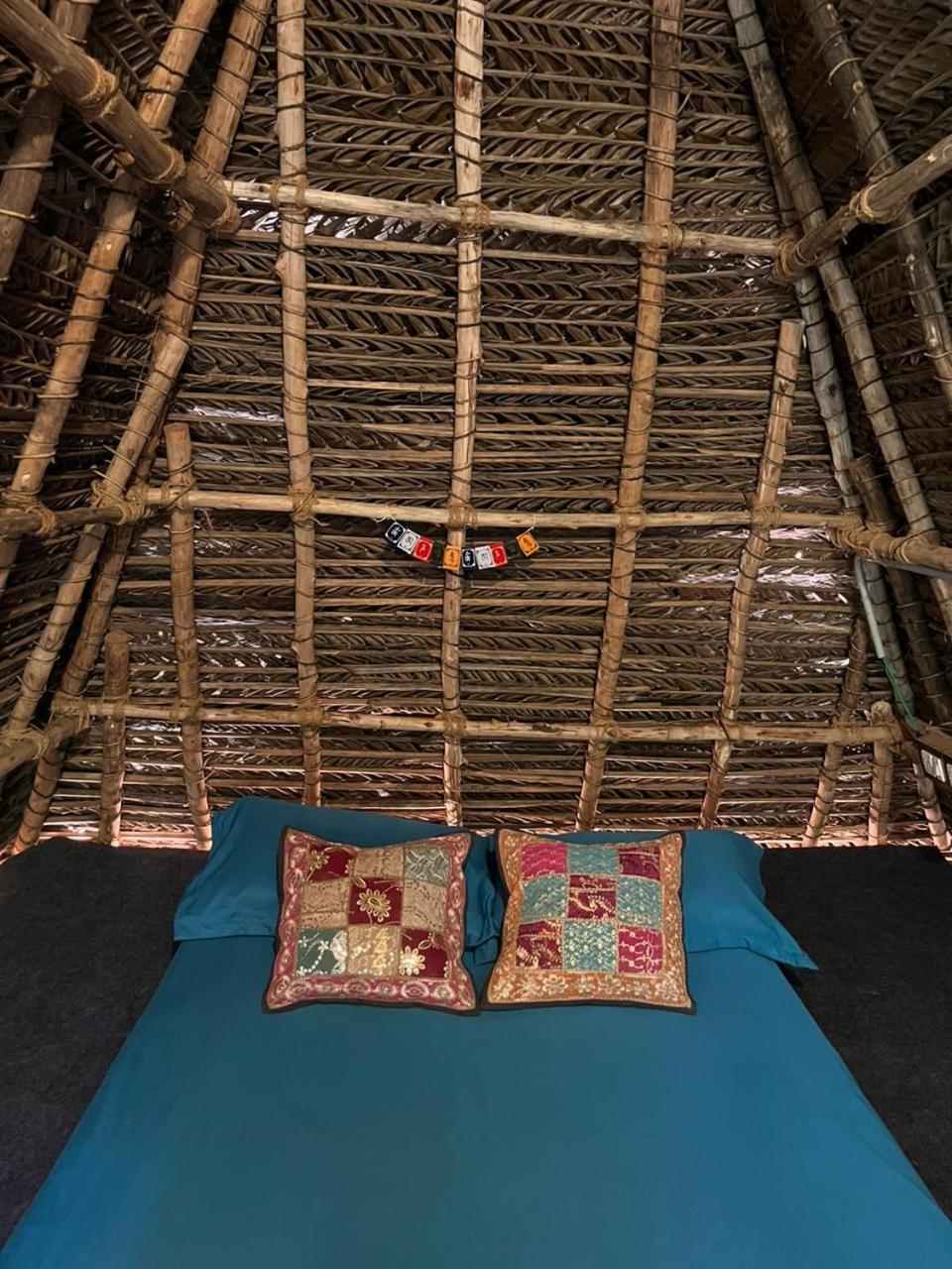 Nebula Nest Cafe & Hostel أورفيلا المظهر الخارجي الصورة