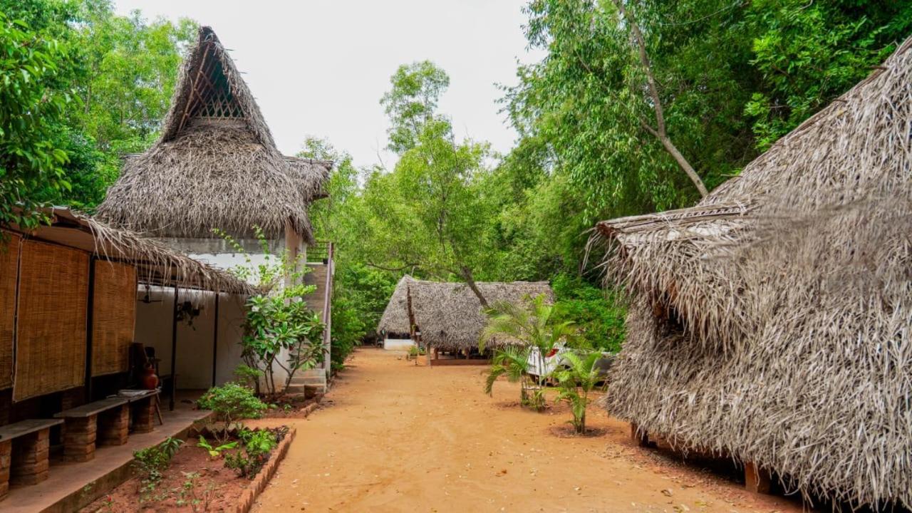 Nebula Nest Cafe & Hostel أورفيلا المظهر الخارجي الصورة