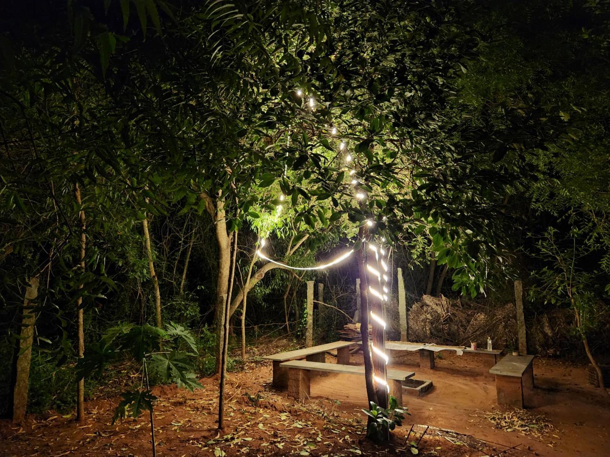 Nebula Nest Cafe & Hostel أورفيلا المظهر الخارجي الصورة