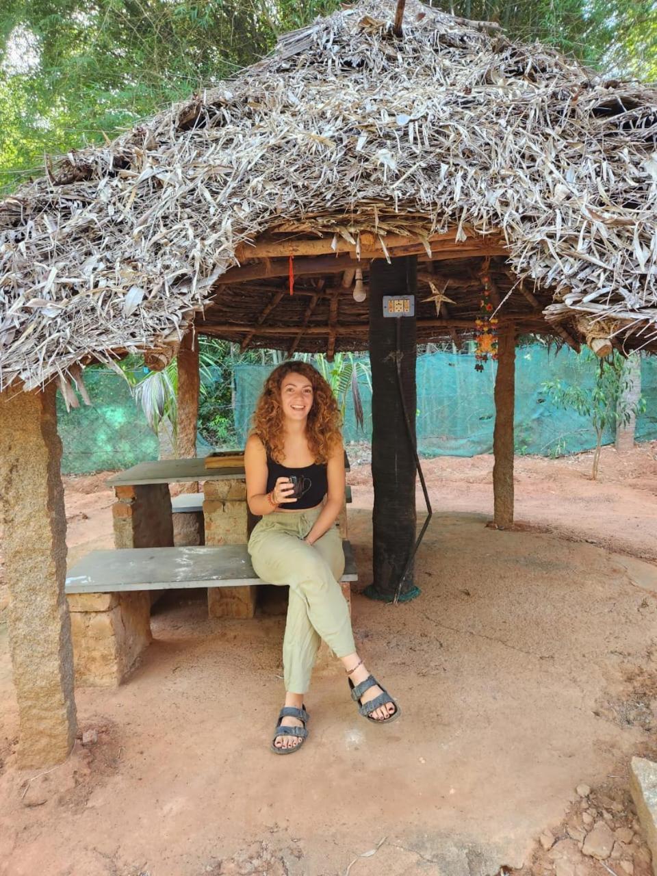 Nebula Nest Cafe & Hostel أورفيلا المظهر الخارجي الصورة